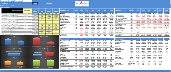 Nuts & Snacks Financial Model & Presentation