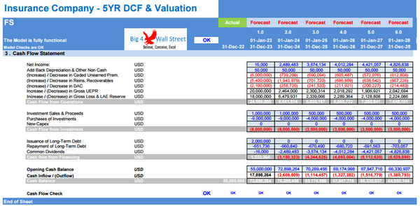 Insurance Company Financial Model - 5YR DCF & Valuation