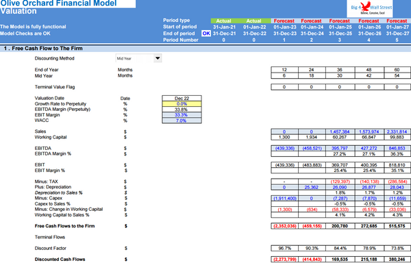 Olive Orchard Business - DCF 10 Year Financial Model