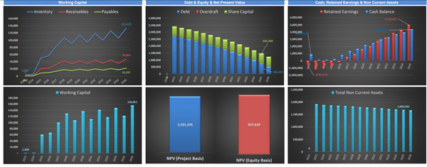 Olive Orchard Business - DCF 10 Year Financial Model