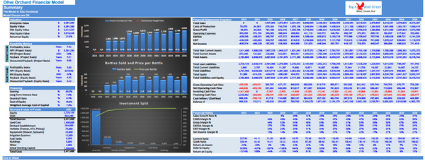 Olive Orchard Business - DCF 10 Year Financial Model