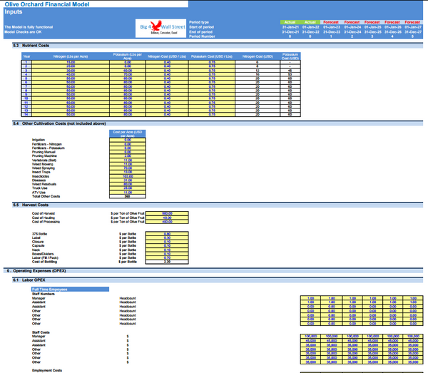 Olive Orchard Business - DCF 10 Year Financial Model