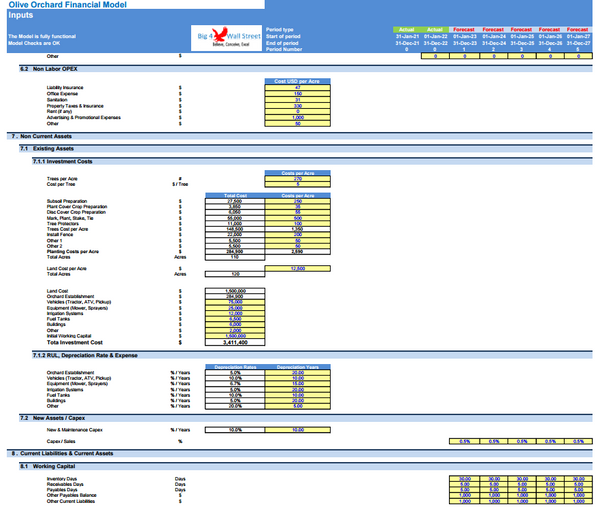 Olive Orchard Business - DCF 10 Year Financial Model