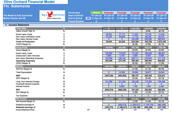 Olive Orchard Business - DCF 10 Year Financial Model