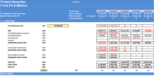 Store Expansion Financial Model: 5 Year DCF Model with Impact Analysis (Financing: Organic vs Revenue Based )