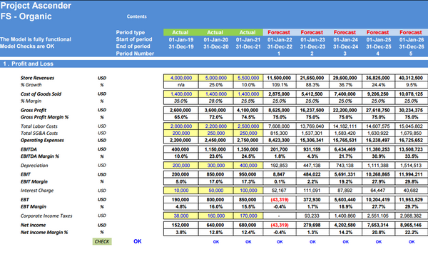 Store Expansion Financial Model: 5 Year DCF Model with Impact Analysis (Financing: Organic vs Revenue Based )