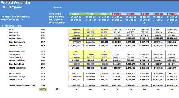 Store Expansion Financial Model: 5 Year DCF Model with Impact Analysis (Financing: Organic vs Revenue Based )