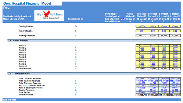 General Hospital Financial Model