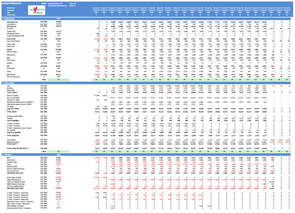 Waste to Energy / Biogas Project Finance Model