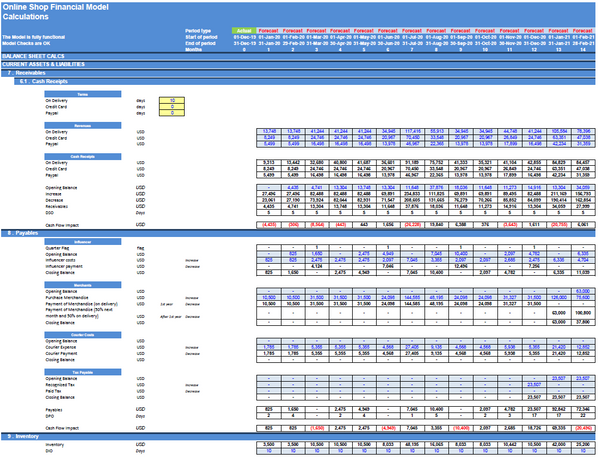 Online Shop Financial Model