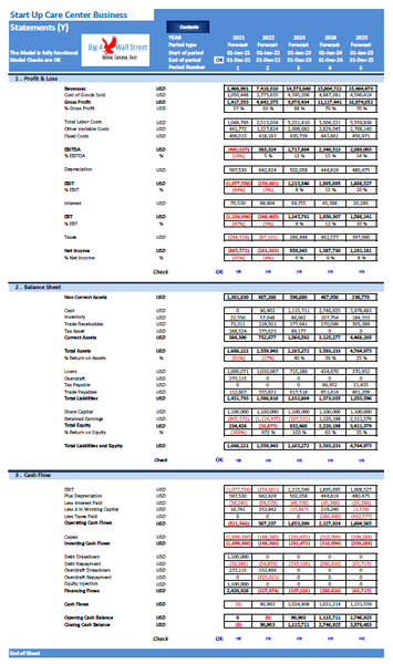 Care Center Financial Model