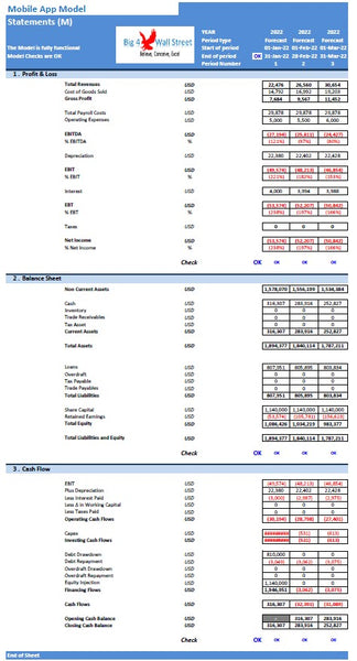 Mobile App Financial Model