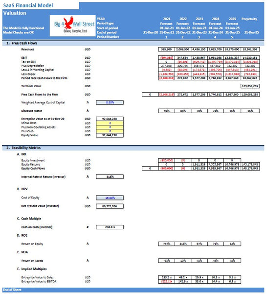 SaaS Financial Model
