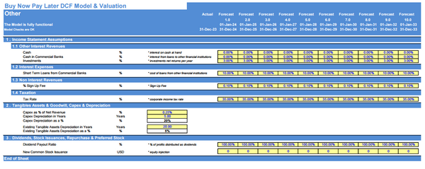 Buy Now Pay Later DCF Financial Model and Valuation