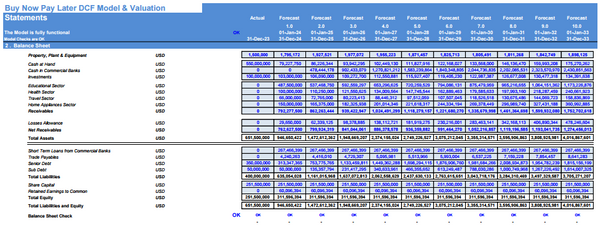 Buy Now Pay Later DCF Financial Model and Valuation