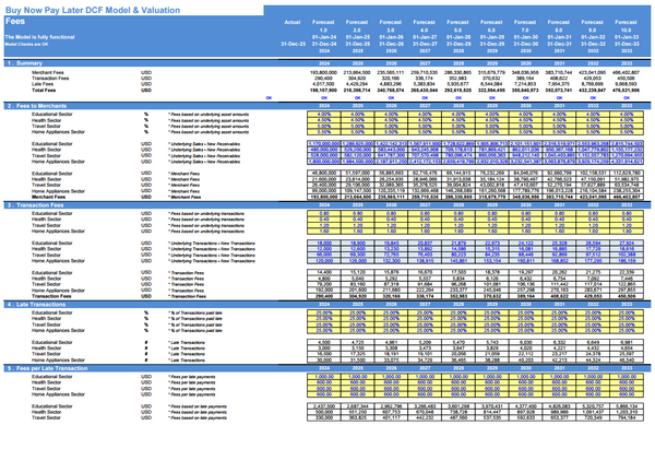 Buy Now Pay Later DCF Financial Model and Valuation