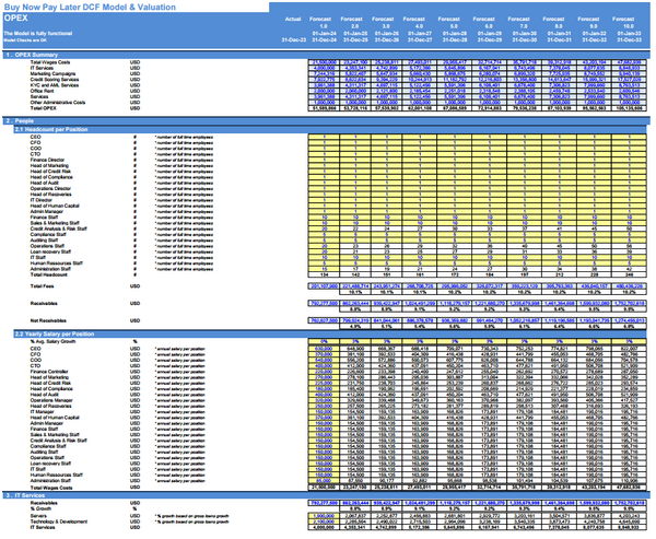 Buy Now Pay Later DCF Financial Model and Valuation