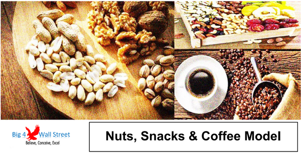 Nuts & Snacks Financial Model & Presentation