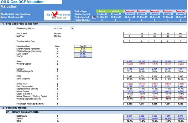 Oil & Gas Financial Model – DCF and NAV Valuation (5+ Yrs.)