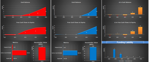 Store Expansion Financial Model: 5 Year DCF Model with Impact Analysis (Financing: Organic vs Revenue Based )
