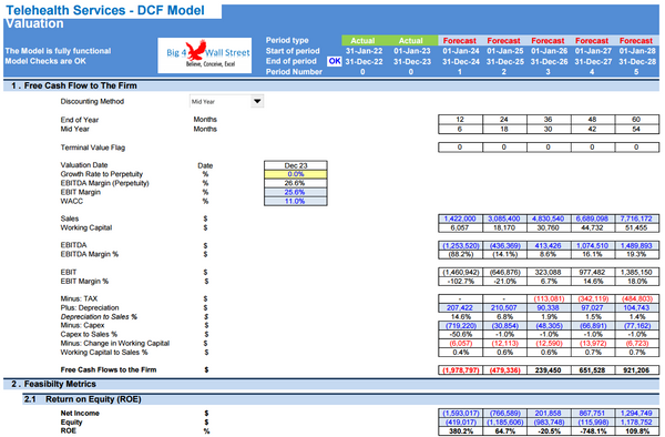 Telehealth Services Company Financial Model (10+ Yrs. DCF and Valuation)