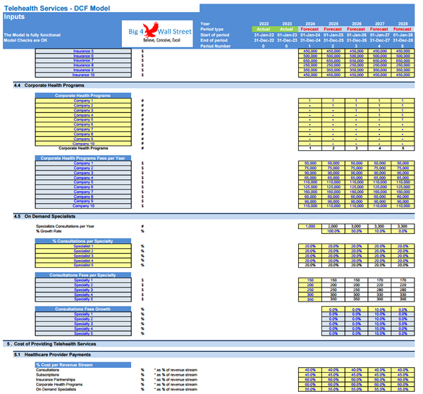 Telehealth Services Company Financial Model (10+ Yrs. DCF and Valuation)