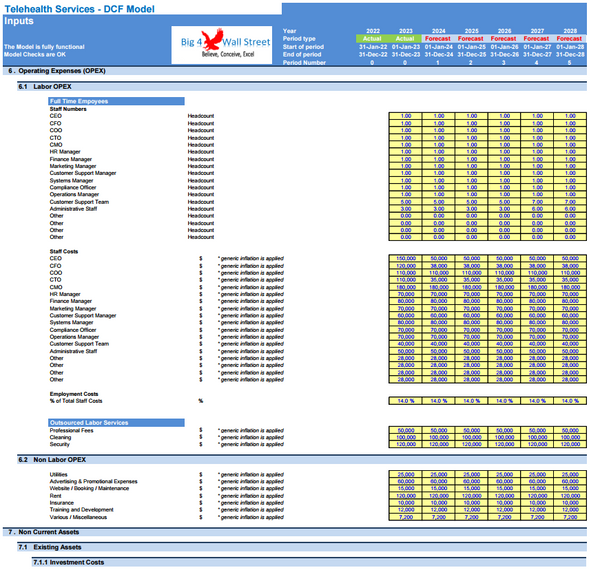 Telehealth Services Company Financial Model (10+ Yrs. DCF and Valuation)