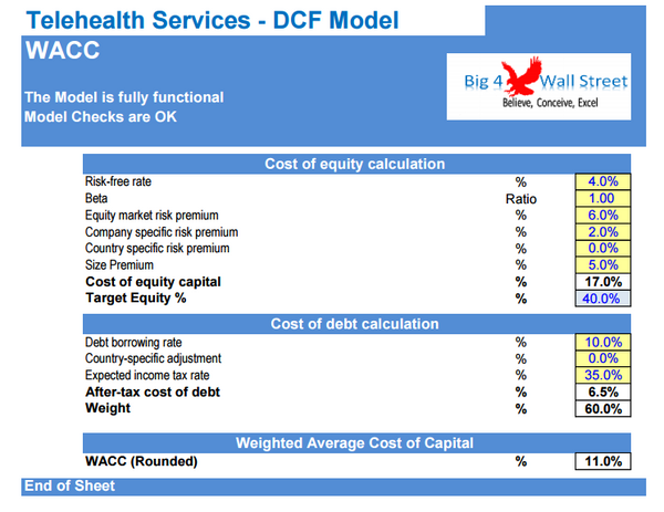 Telehealth Services Company Financial Model (10+ Yrs. DCF and Valuation)