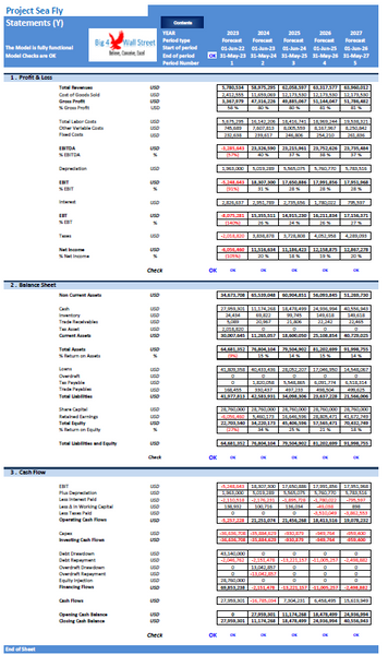 Start Up Seaplanes Operator Financial Model