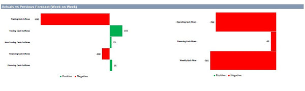 Rolling 13 Weeks Cash Flow
