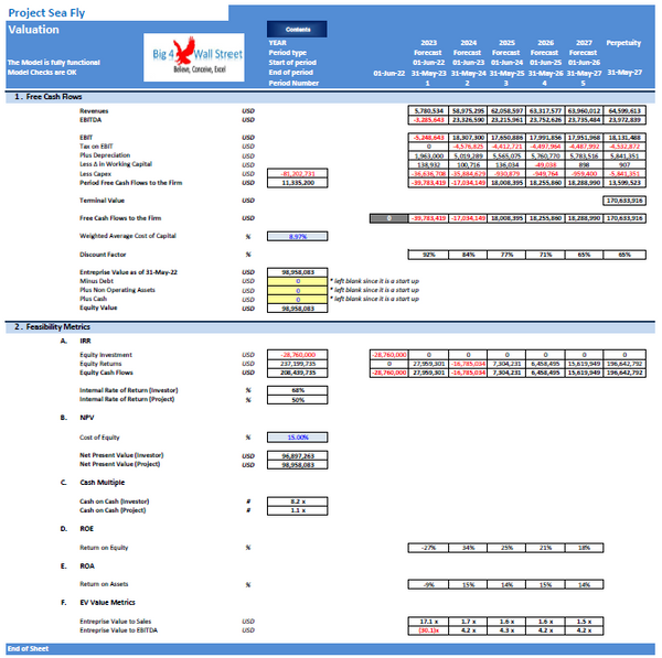 Start Up Seaplanes Operator Financial Model