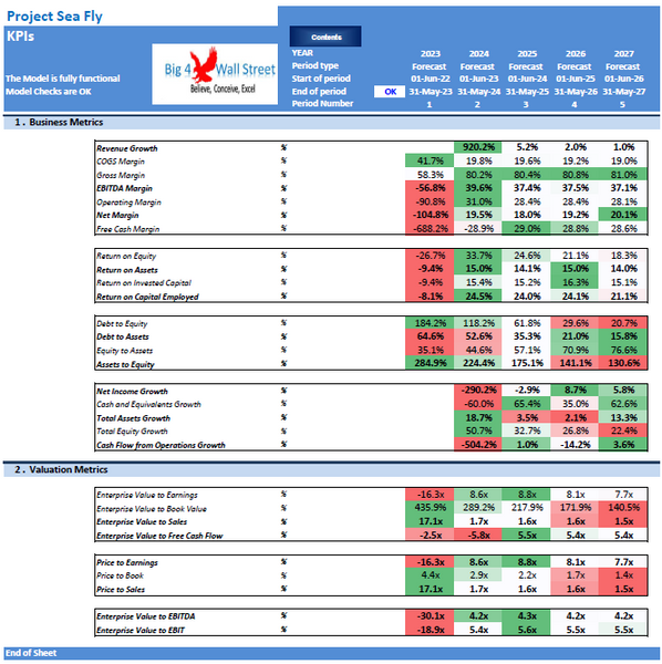 Start Up Seaplanes Operator Financial Model