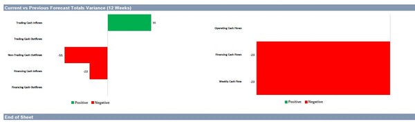 Rolling 13 Weeks Cash Flow