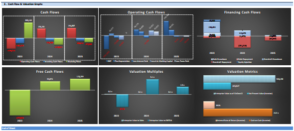 Food Delivery Business - Financial Model