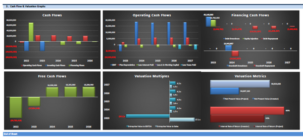 Start Up Seaplanes Operator Financial Model