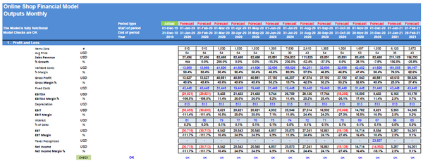 Online Shop Financial Model