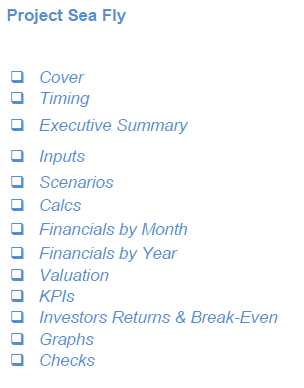 Start Up Seaplanes Operator Financial Model