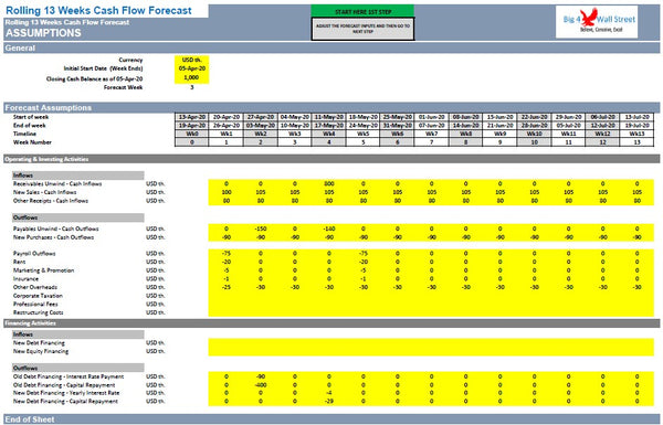 Rolling 13 Weeks Cash Flow