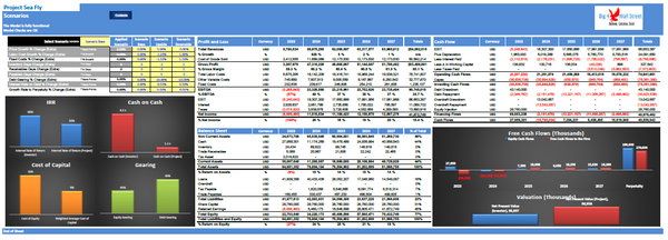 Start Up Seaplanes Operator Financial Model