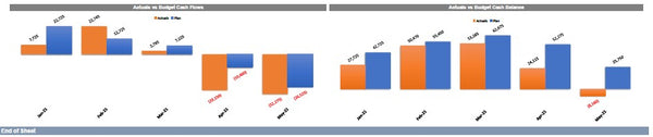 Cash Budget Model