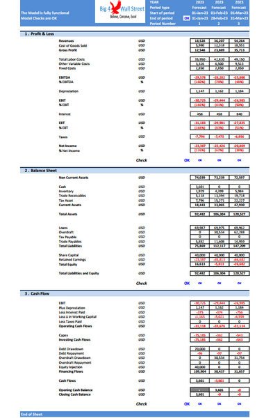 Food Delivery Business - Financial Model