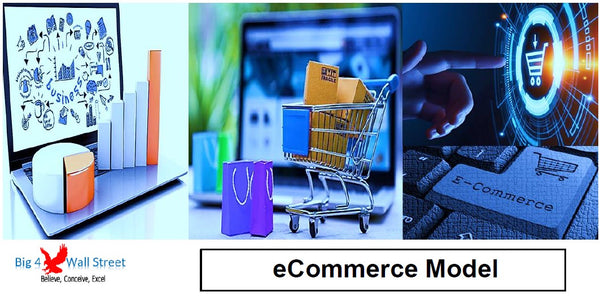 eCommerce Website Financial Model