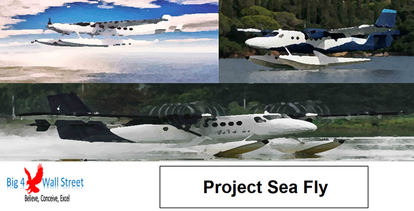 Start Up Seaplanes Operator Financial Model