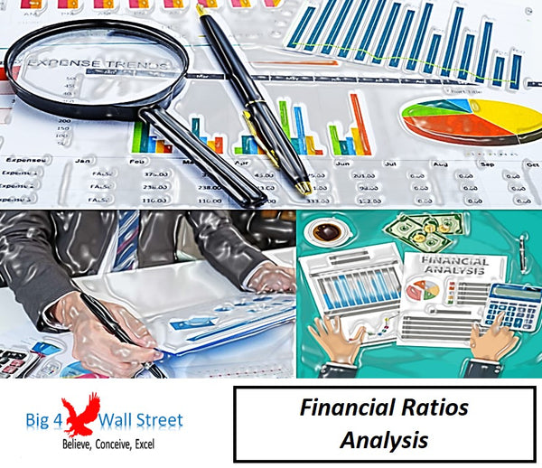 Financial Ratios in Excel